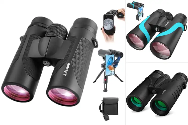 Detailed view of Best Prism Binoculars
