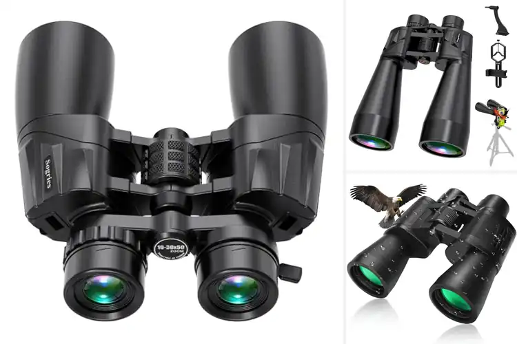 Detailed view of Best Professional Binoculars