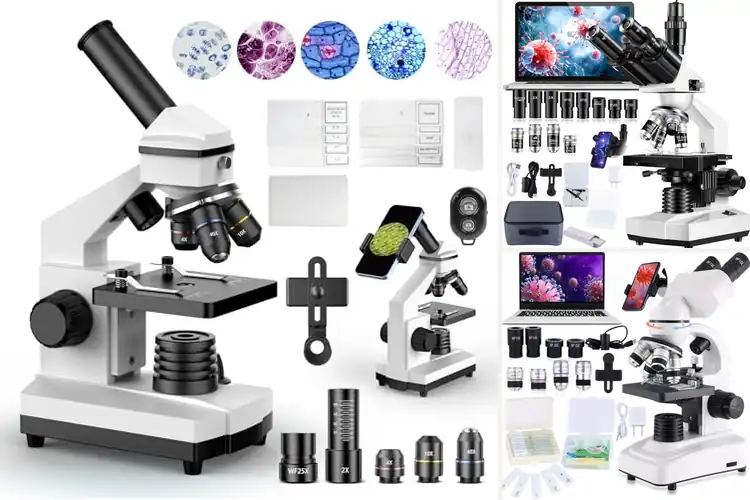Detailed view of Best Professional Microscopes