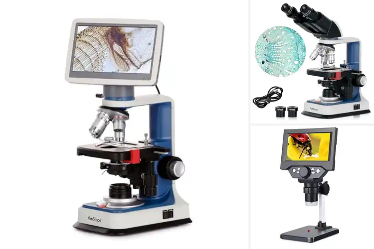 Detailed view of Best Rechargeable Battery Microscope