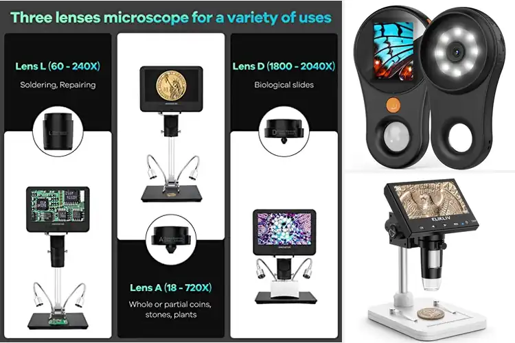 Detailed view of Best Recording Microscopes: Capture Tiny Details Clearly