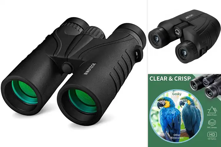 Detailed view of Best Roof Prism Binoculars