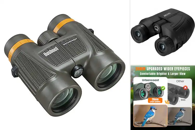 Detailed view of Best Rugged Waterproof Binoculars For Travel