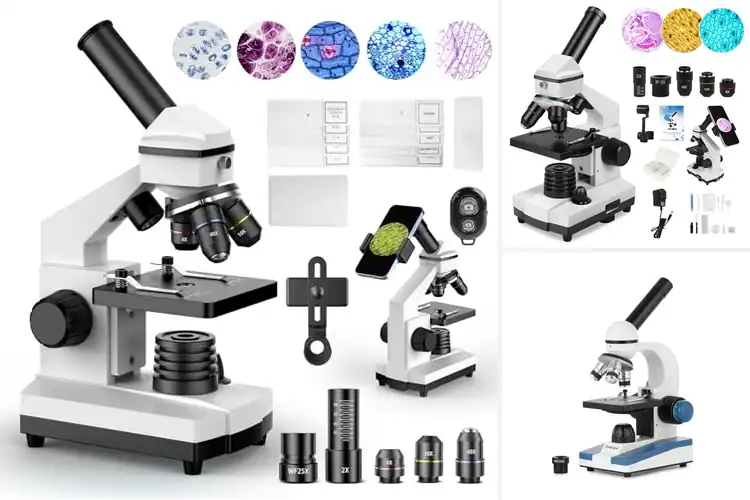 Detailed view of Best School Microscopes: Top 10 Picks for Engaging Learning