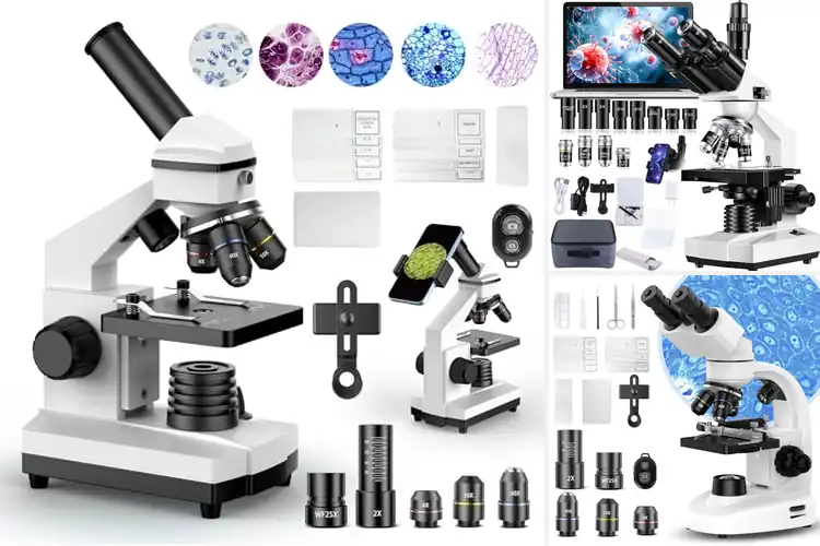 Detailed view of Best Scientific Microscopes
