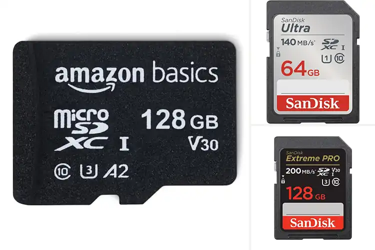 Detailed view of Best SD Cards: Top 10 Picks for Speed, Capacity & Durability