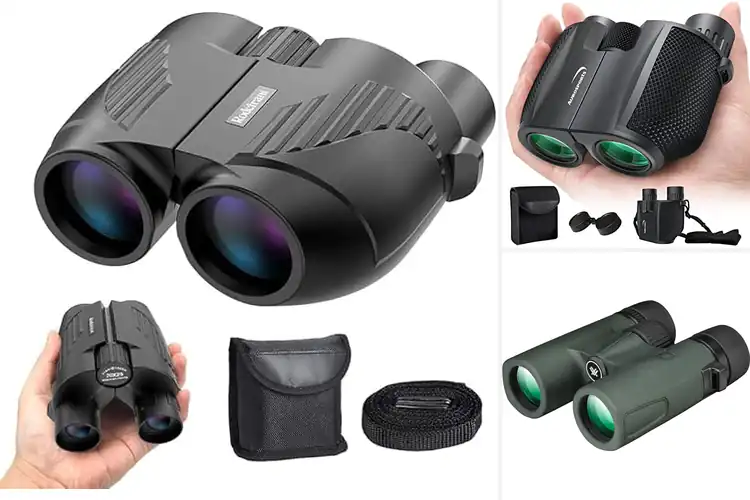 Detailed view of Best Shockproof Binoculars
