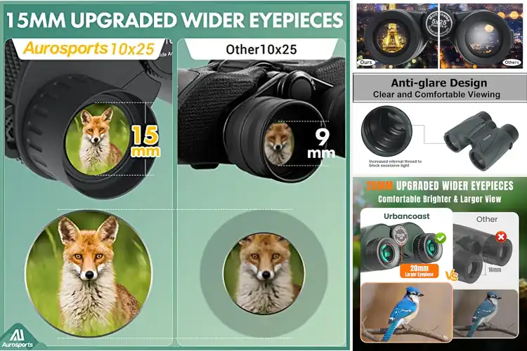 Detailed view of Best Sports Viewing Binoculars