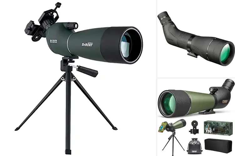 Detailed view of Best Spotting Scopes