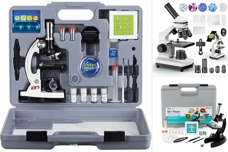 Detailed view of Best STEM Education Microscopes : Ignite Young Minds