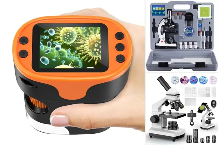Detailed view of Best STEM Microscopes