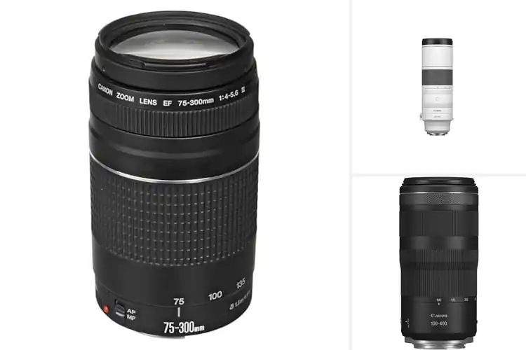 Detailed view of Best Telephoto Lenses