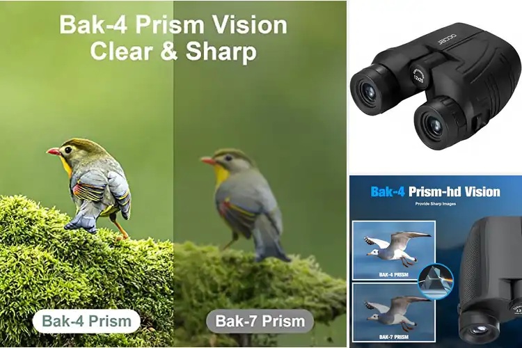 Detailed view of Best Value 12×25 Binoculars Package