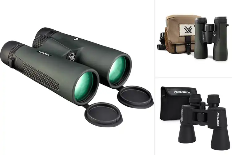 Detailed view of Best Warrantied Binoculars