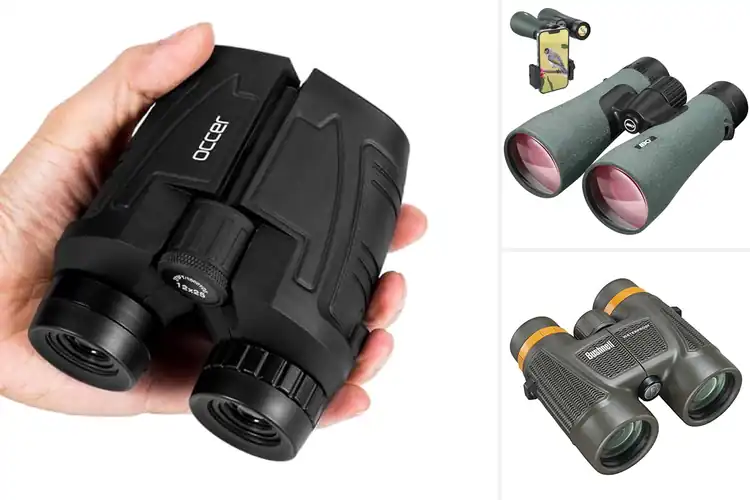 Detailed view of Best Waterproof Binoculars For Outdoor Use
