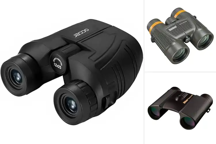 Detailed view of Best Waterproof Compact Binoculars: Top 10 Picks