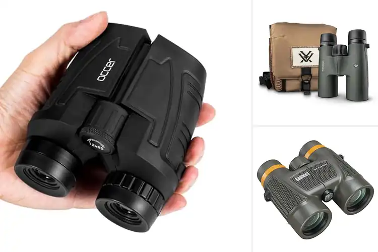 Detailed view of Best Waterproof Fogproof Binoculars