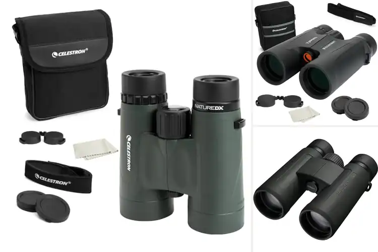Detailed view of Best Wide Field Binoculars For Birding