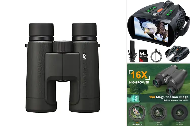 Detailed view of Best Wildlife Observation Binoculars
