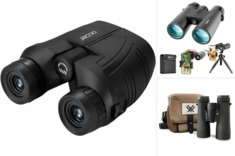 Detailed view of Best Wildlife Viewing Binoculars