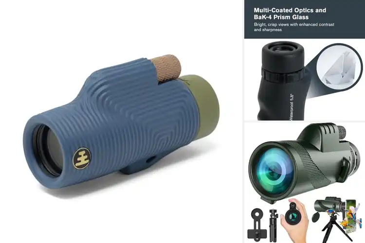 Detailed view of Best Wildlife Viewing Monoculars