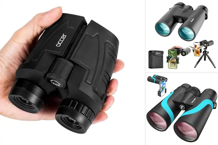 Detailed view of Best Wildlife Watching Binoculars